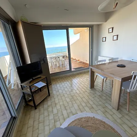 Apartment Face Mer, Parking Prive - 4 Pers. - Fr-1-837-118 Argelès-sur-Mer